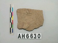 藏品(褐色夾砂陶片)的圖片